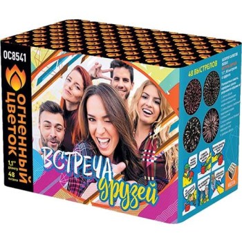 Фейерверк Встреча друзей